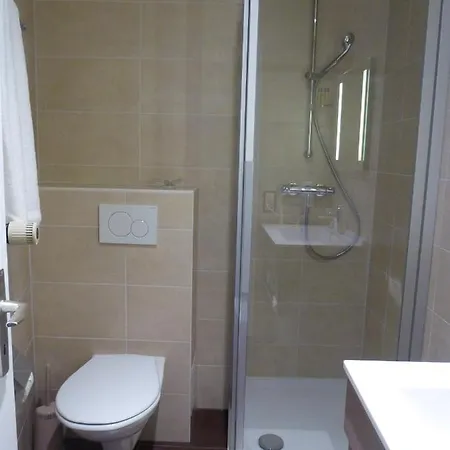 Des Alpes 3* ניון