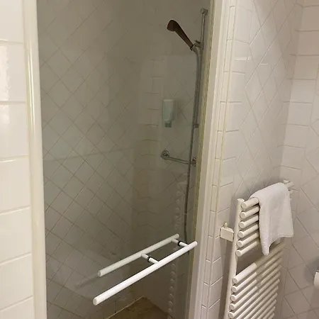 Des Alpes 3* ניון