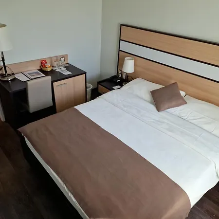 Hotel Des Alpes 3*